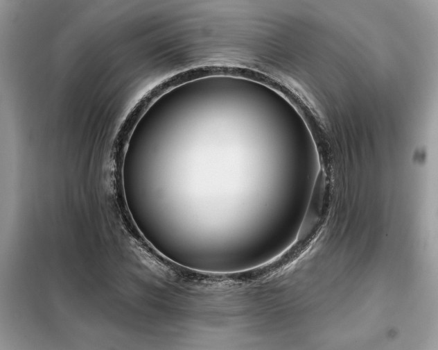 X0000099420926200805091239