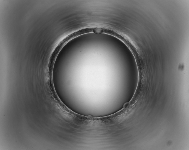 X0000099420927200805091239