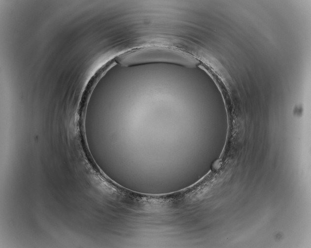 X0000099420928200805091239
