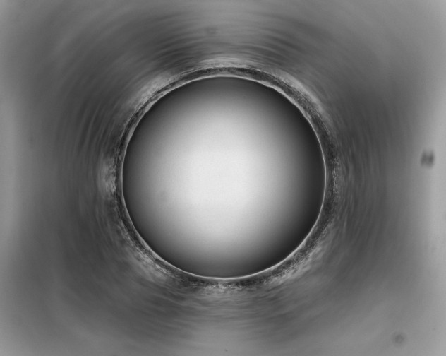 X0000099420929200805091239
