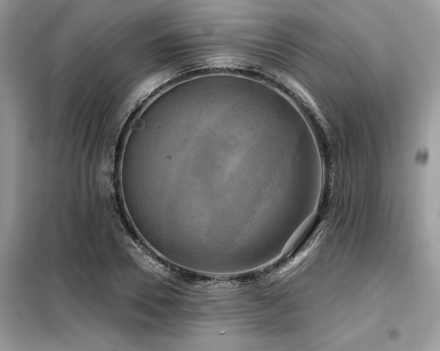 X0000099420930200805091239