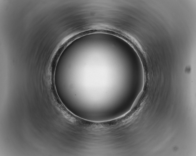 X0000099420931200805091239