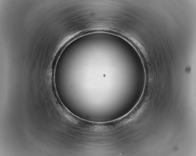 X0000099420933200805091239