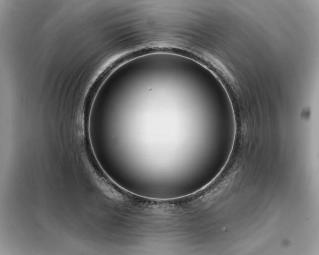 X0000099420934200805091239