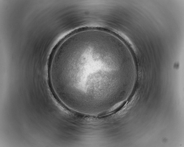 X0000099420935200805091239
