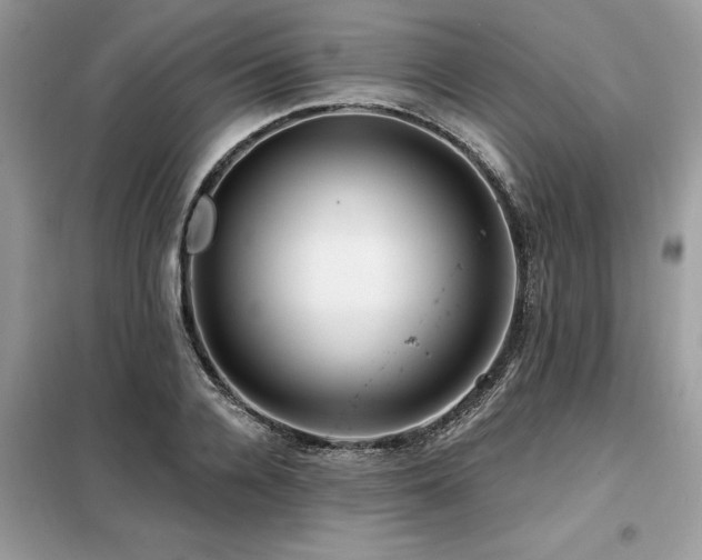 X0000099420936200805091239