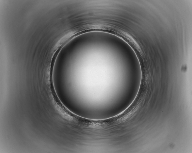 X0000099420938200805091239