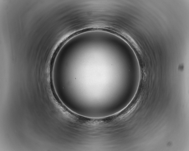 X0000099420939200805091239
