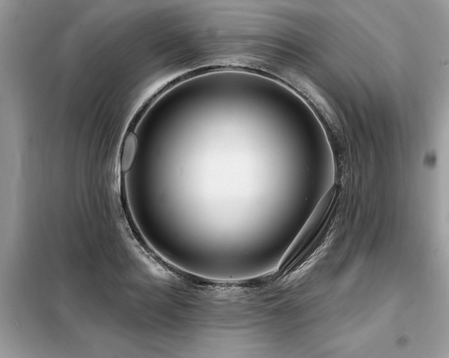 X0000099420940200805091239