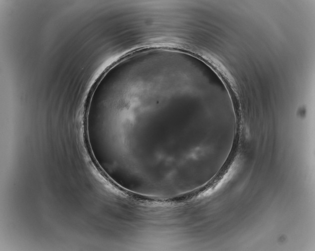 X0000099420941200805091239
