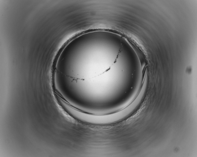 X0000099420942200805091239