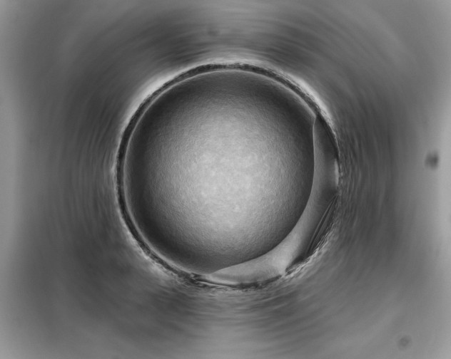 X0000099420943200805091239