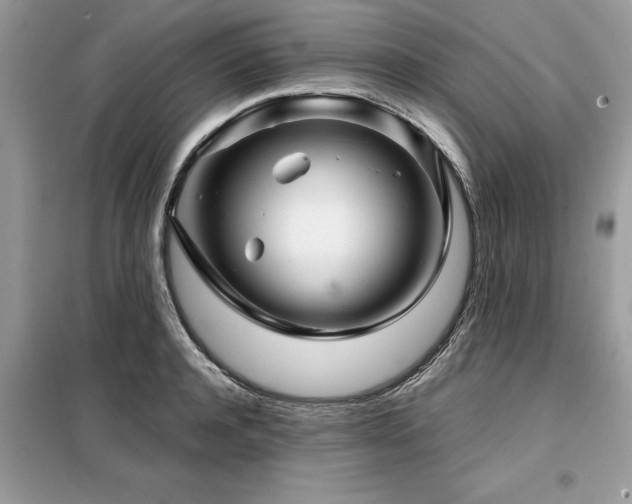 X0000099420944200805091239