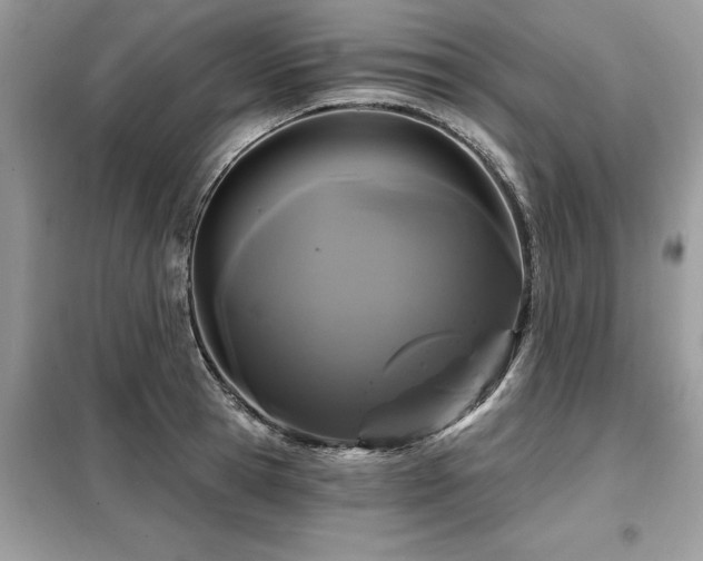 X0000099420945200805091239