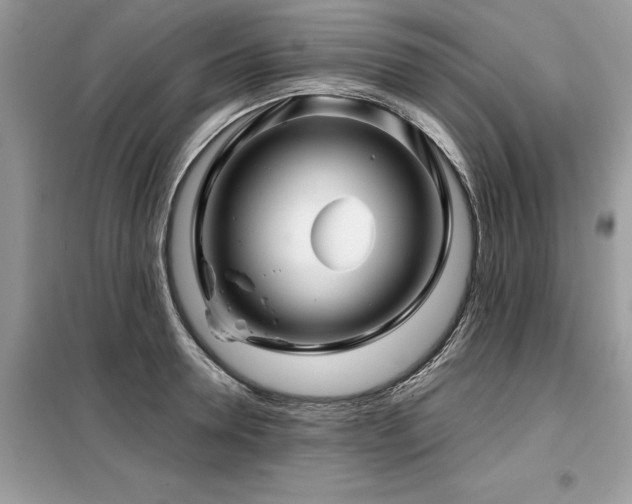 X0000099420946200805091239