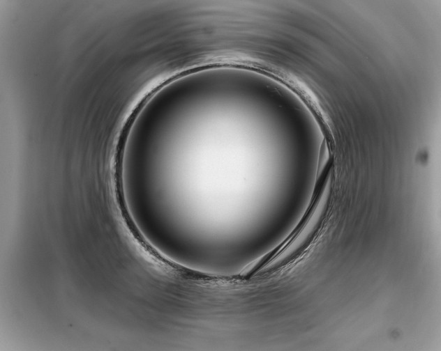 X0000099420947200805091239