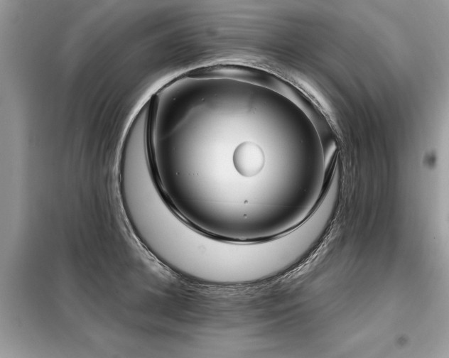 X0000099420948200805091239