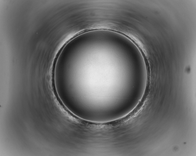 X0000099420949200805091239
