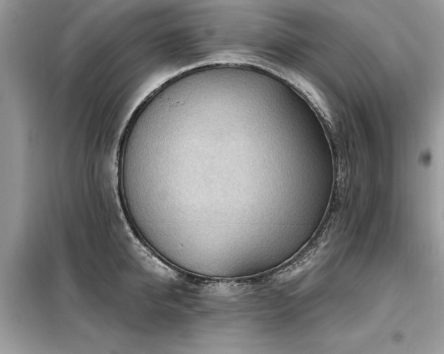 X0000099420950200805091239