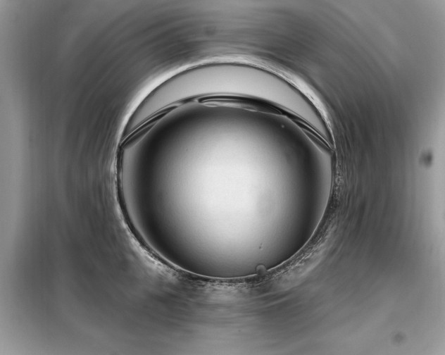 X0000099420951200805091239