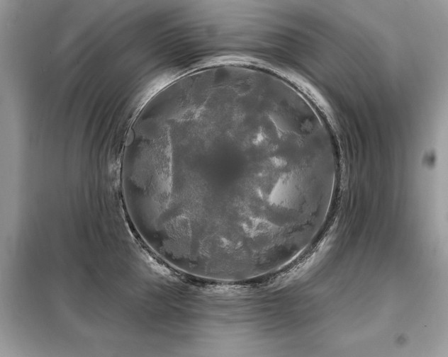 X0000099420953200805091239