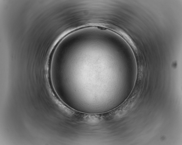 X0000099420955200805091240