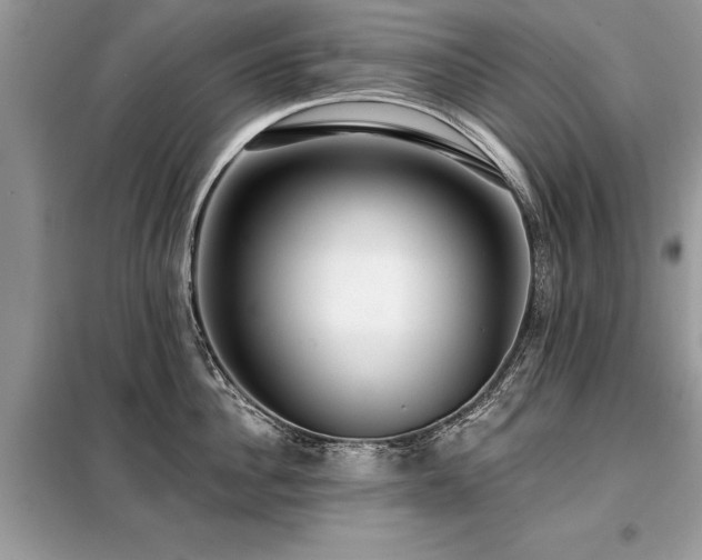 X0000099420956200805091240