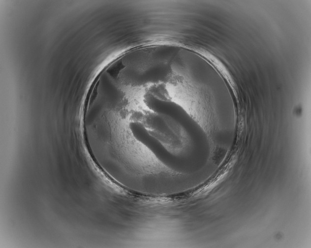 X0000099420957200805091240