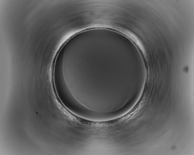 X0000099420958200805091240