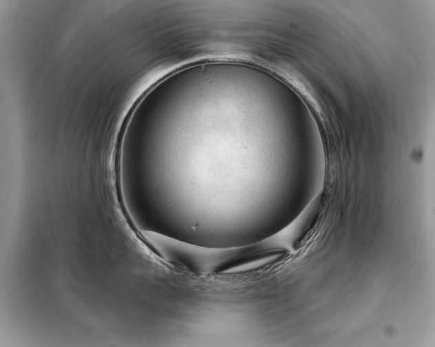 X0000099420959200805091240