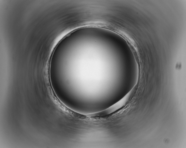 X0000099420960200805091240