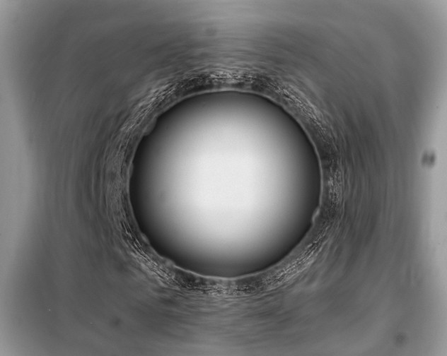 X0000099420961200805091239