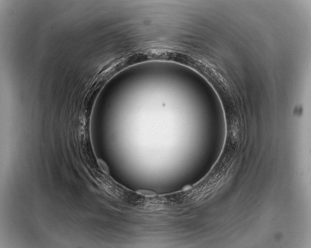X0000099420964200805091239