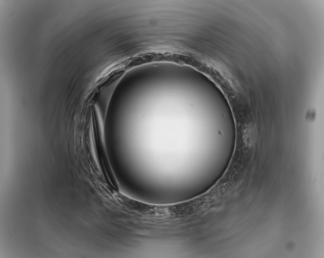 X0000099420968200805091239