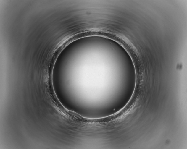X0000099420969200805091239