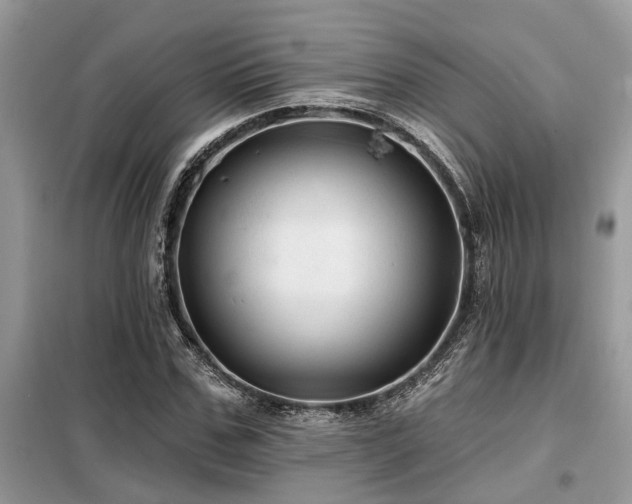 X0000099420971200805091239