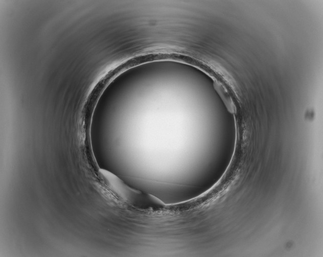 X0000099420973200805091239