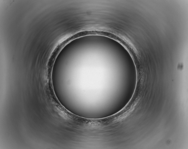 X0000099420974200805091239