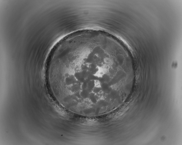 X0000099420975200805091239