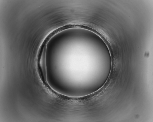 X0000099420976200805091239