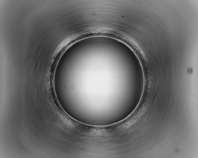 X0000099420978200805091239
