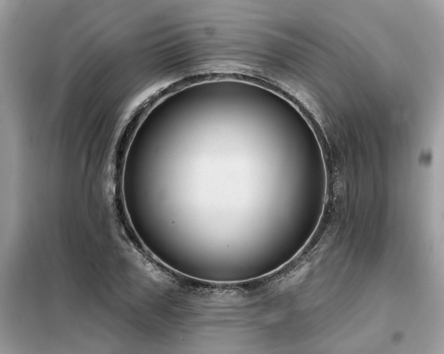 X0000099420979200805091239