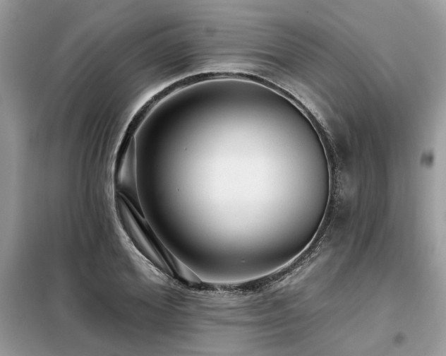 X0000099420980200805091239