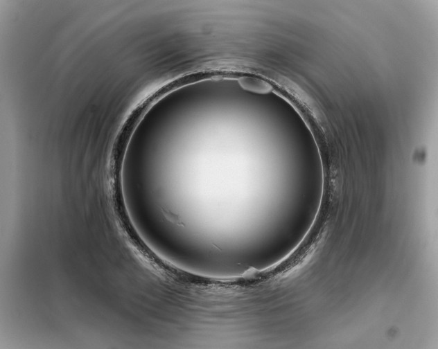 X0000099420981200805091239