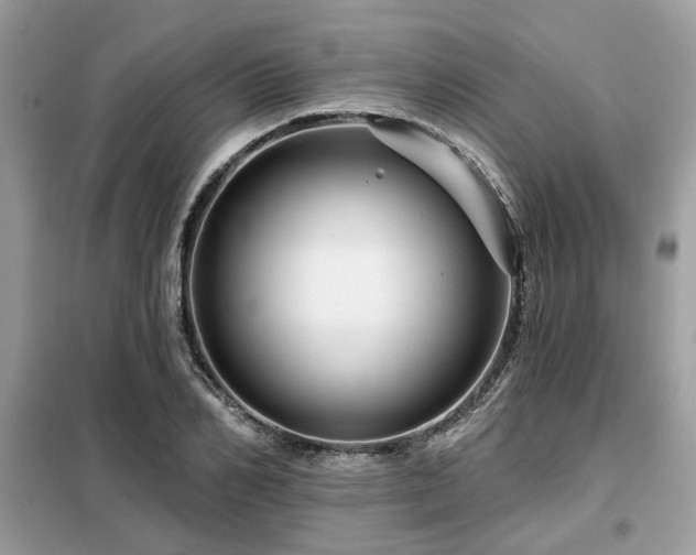 X0000099420982200805091239