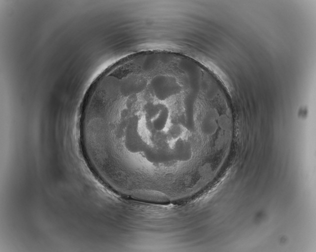 X0000099420983200805091239