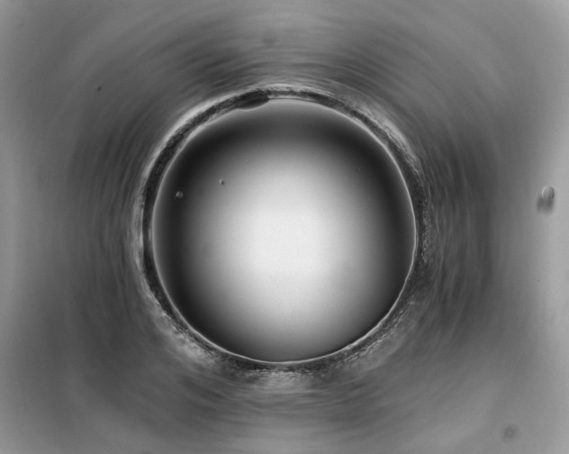 X0000099420984200805091239