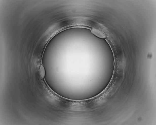 X0000099420985200805091239