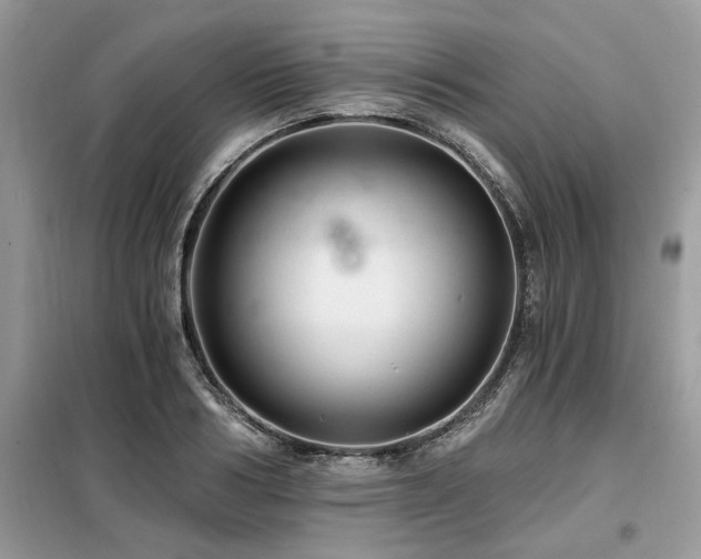 X0000099420986200805091239