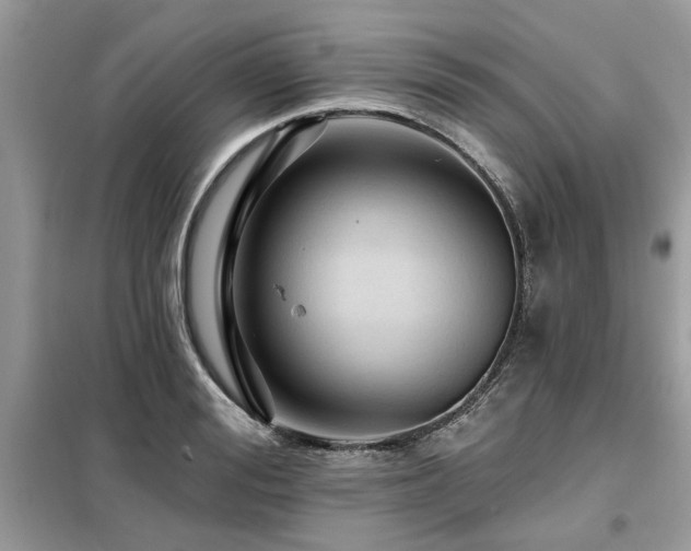 X0000099420988200805091239